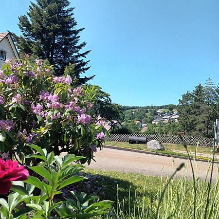 Ferienwohnung Brigachglueck St. Georgen im Schwarzwald Exterior foto