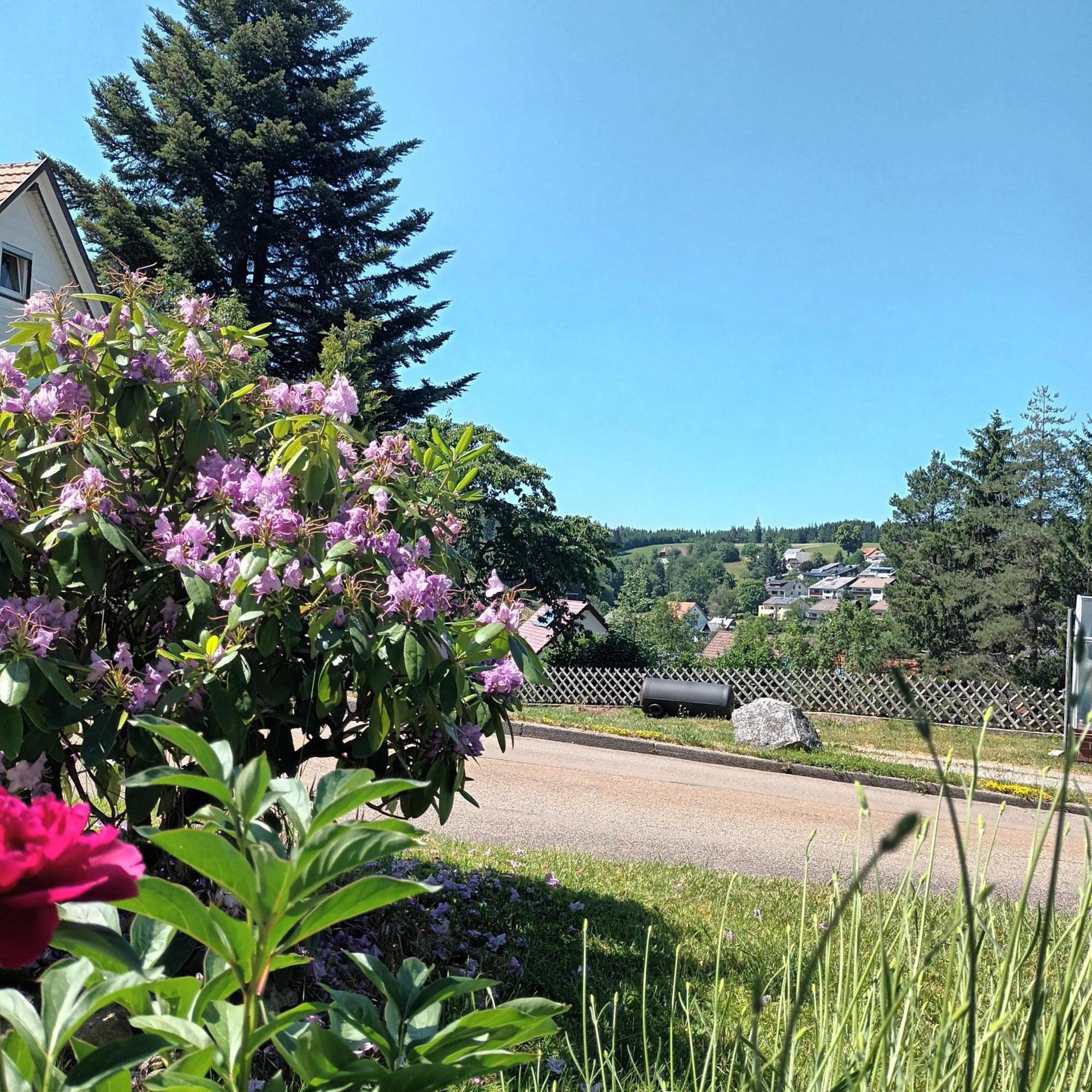 Ferienwohnung Brigachglueck St. Georgen im Schwarzwald Exterior foto
