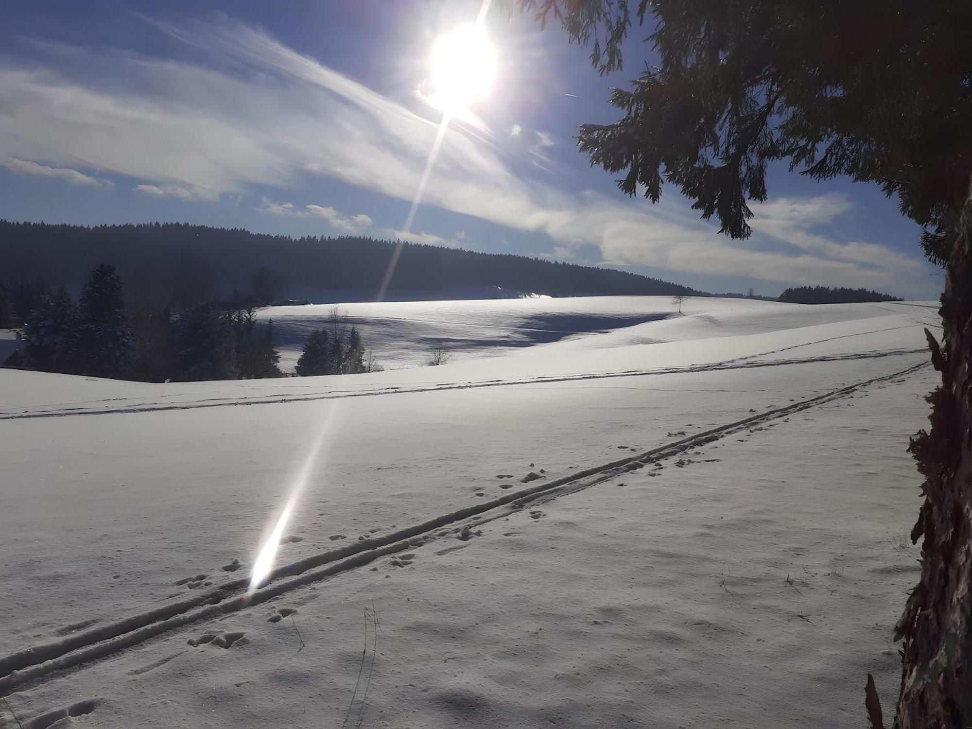 Ferienwohnung Brigachglueck St. Georgen im Schwarzwald Exterior foto