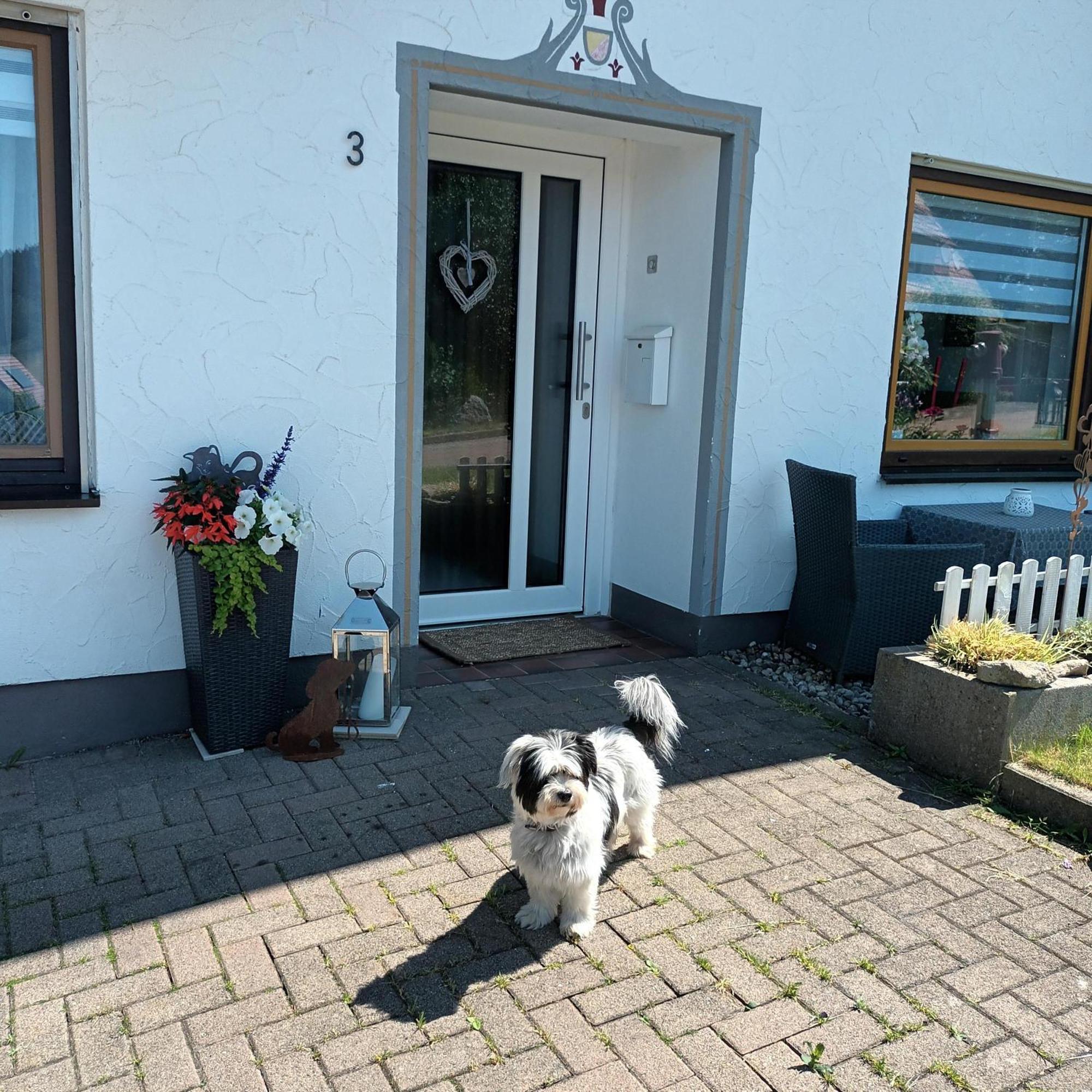 Ferienwohnung Brigachglueck St. Georgen im Schwarzwald Exterior foto