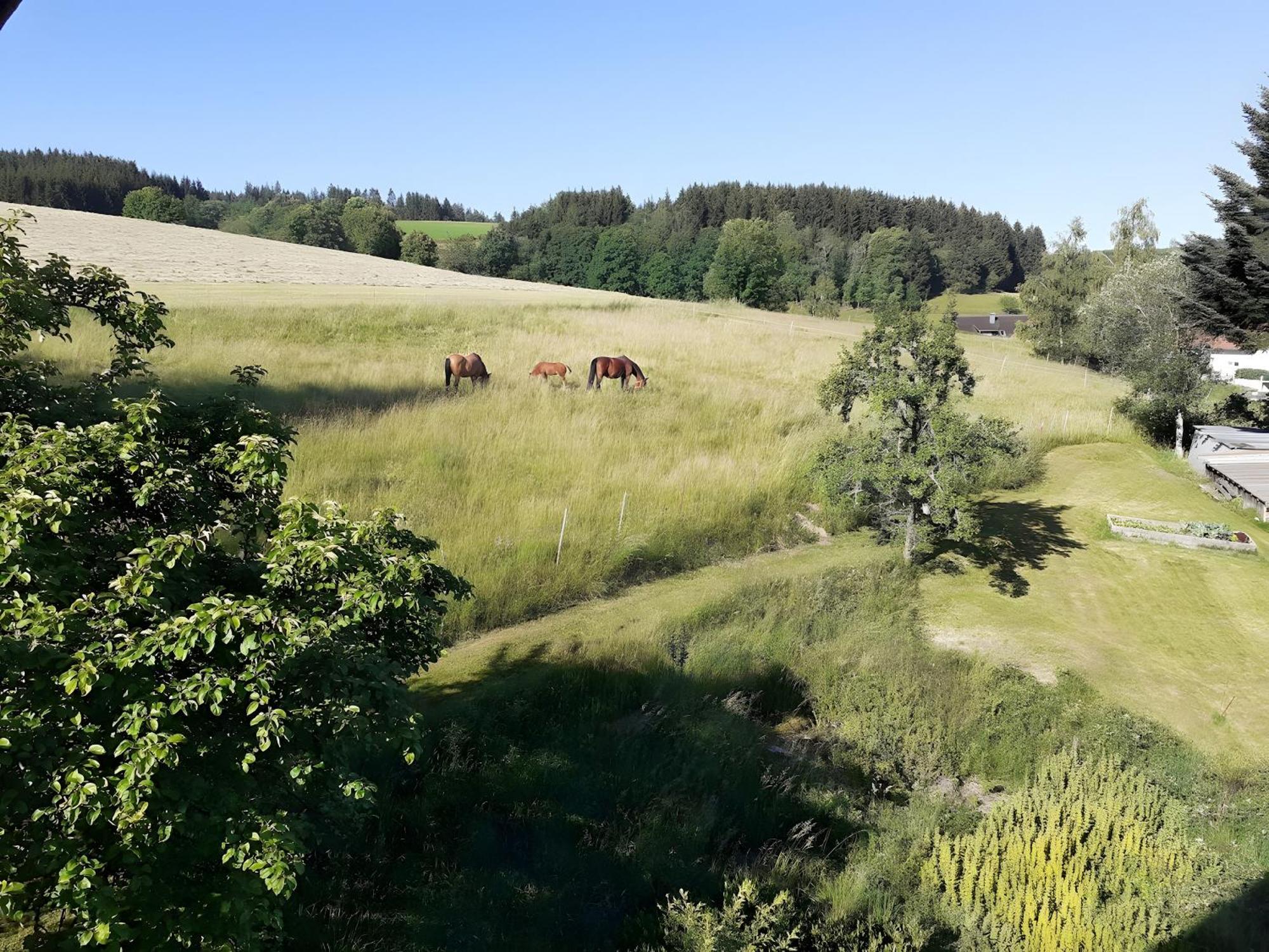 Ferienwohnung Brigachglueck St. Georgen im Schwarzwald Exterior foto